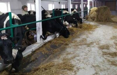 На Житомирщине создана первая молочная семейная ферма - agroportal.ua - Житомир