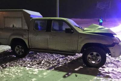 В аварии на воронежской трассе пострадали двое детей - vrn.mk.ru - Москва - Воронежская обл.