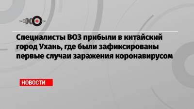 Специалисты ВОЗ прибыли в китайский город Ухань, где были зафиксированы первые случаи заражения коронавирусом - echo.msk.ru - Ухань