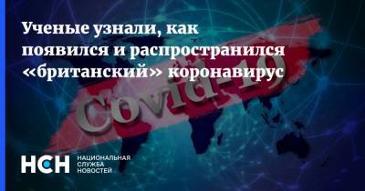 Ученые узнали, как появился и распространился «британский» коронавирус - nsn.fm - США - Англия - Лондон