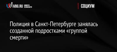 Полиция в Санкт-Петербурге занялась созданной подростками «группой смерти» - ivbg.ru - Россия - Ленинградская обл. - Санкт-Петербург