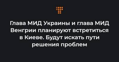 Петер Сийярто - Глава МИД Украины и глава МИД Венгрии планируют встретиться в Киеве. Будут искать пути решения проблем - hromadske.ua - Киев - Венгрия