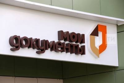 Татарстанцы специалиста МФЦ могут вызвать на дом или офис - kazan.mk.ru - Набережные Челны - Казань - Нижнекамск
