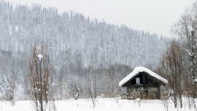Снежные хранилища развернули на территории Подмосковья - polit.info - Московская обл.