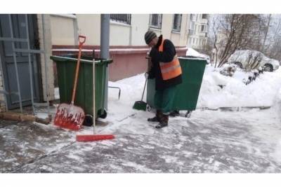 Несколько десятков дворников убирают снег в Пущино - serp.mk.ru - городское поселение Пущино