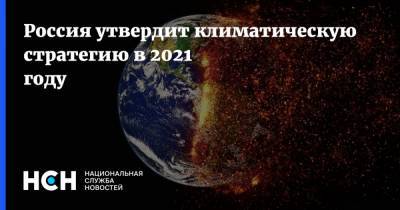 Владимир Путин - Александр Новак - Россия утвердит климатическую стратегию в 2021 году - nsn.fm - Россия