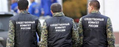 Владимир Путин - Петр I - От Петра I до Владимира Путина: 15 января СК России отмечает 10-летний юбилей - runews24.ru