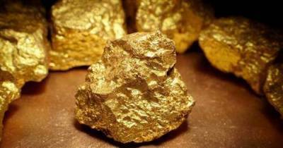 Золото может вырасти в 2021 году до $2300 за унцию - smartmoney.one
