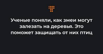 Ученые поняли, как змеи могут залезать на деревья. Это поможет защищать от них птиц - hromadske.ua - Гуам