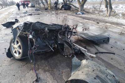 Под Херсоном Nissan разорвало на части от удара с деревом: есть погибшие (фото) - newsone.ua - Харьковская обл. - Херсон - Херсонская обл. - Берислав