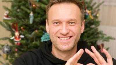 Навальный - Навальному предрекли задержание во Внуково - newinform.com - Москва