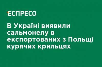 В Украине обнаружили сальмонеллу в экспортируемых из Польши куриных крылышках - ru.espreso.tv - Киев - Польша - Дания - Львовская обл.