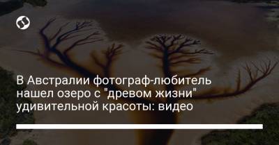 В Австралии фотограф-любитель нашел озеро с "древом жизни" удивительной красоты: видео - liga.net - Украина - Австралия