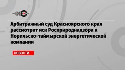 Светлана Радионова - Арбитражный суд Красноярского края рассмотрит иск Росприроднадзора к Норильско-таймырской энергетической компании - echo.msk.ru - Москва - Красноярский край