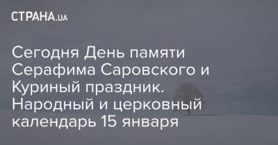 Сегодня День памяти Серафима Саровского и Куриный праздник. Народный и церковный календарь 15 января - strana.ua - Киев - Нижегородская обл.