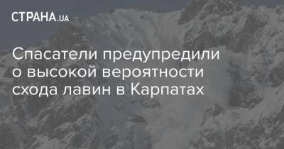 Спасатели предупредили о высокой вероятности схода лавин в Карпатах - strana.ua - Ивано-Франковская обл. - Закарпатская обл. - Гсчс