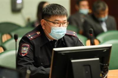 В Улан-Удэ рассматривают новые меры контроля для владельцев собак - runews24.ru - Улан-Удэ