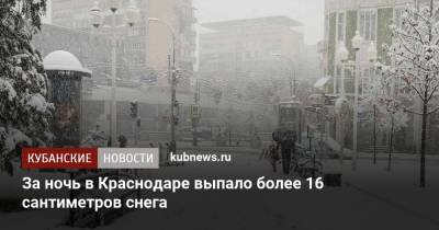 Евгений Первышов - За ночь в Краснодаре выпало более 16 сантиметров снега - kubnews.ru - Краснодар