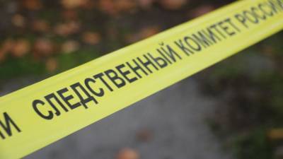 Жительницу Евпатории подозревают в убийстве 9-летнего сына - crimea.ria.ru - Крым - Симферополь - Севастополь - Евпатория