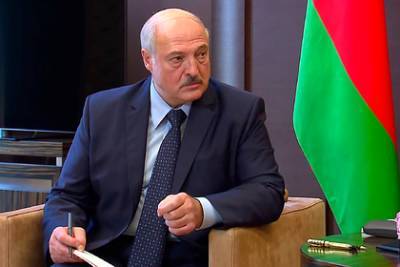 Александр Лукашенко - Павел Каллаур - Лукашенко заявил о не заслужившей удушающие санкции Белоруссии - lenta.ru - Белоруссия