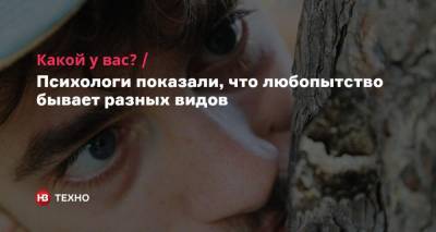 Какой у вас? Психологи показали, что любопытство бывает разных видов - nv.ua - США