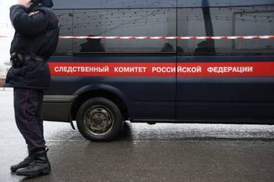 Москвичка, завернувшая труп сожителя в штору, хранила дома скелет сына - readovka.news - Москва