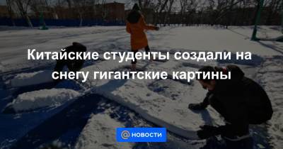 Екатерина Гура - Китайские студенты создали на снегу гигантские картины - news.mail.ru - Далянь - провинция Ляонин