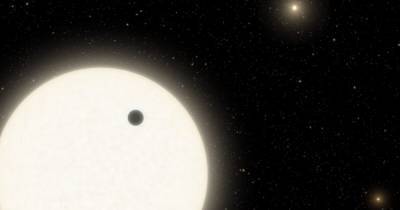 Вселенная - В созвездии Лебедя ученые обнаружили экзопланету с 3 солнцами - focus.ua