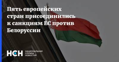 Виктор Лукашенко - Пять европейских стран присоединились к санкциям ЕС против Белоруссии - nsn.fm - Норвегия - Белоруссия - Македония - Черногория - Исландия - Албания