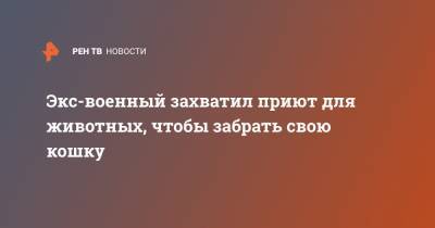 Экс-военный захватил приют для животных, чтобы забрать свою кошку - ren.tv - Австралия