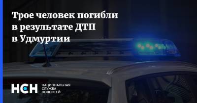 Трое человек погибли в результате ДТП в Удмуртии - nsn.fm - респ. Удмуртия - Ижевск