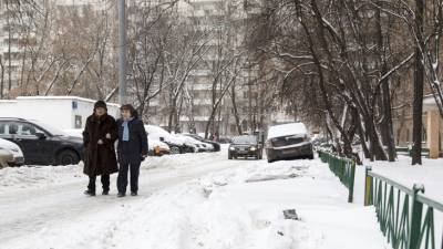 Марина Макарова - В субботу в Московском регионе прогнозируются снегопад и метели - mir24.tv - Москва