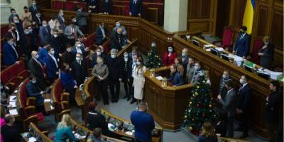 Ольга Совгиря - Рада должна проголосовать за сокращение количества депутатов в январе — Совгиря - nv.ua - Парламент