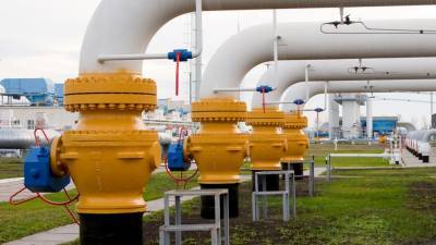 Владимир Зеленский - Юлия Гришина - Украина намерена снизить цены на газ для населения - newinform.com - Украина