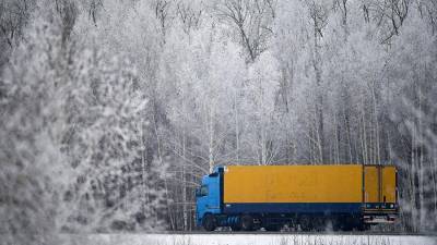 Названы самые востребованные профессии декабря в России - iz.ru