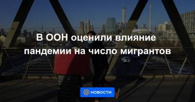 В ООН оценили влияние пандемии на число мигрантов - news.mail.ru - США - Саудовская Аравия