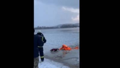 Показано видео, как в Киеве бойцы ГСЧС достали из-подо льда собаку - news.bigmir.net - Киев - Ухань