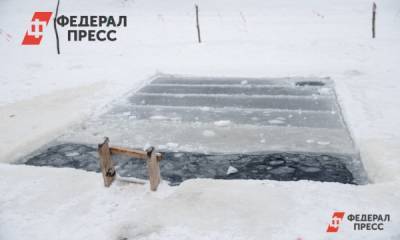 Виталий Милонов - Милонов: сомневаюсь, что купание в проруби приносит духовный опыт - fedpress.ru - Москва