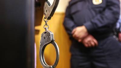 В Петербурге задержали подозреваемого в телефонных мошенничествах - dp.ru - Санкт-Петербург