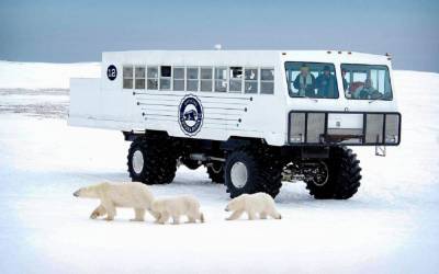 Для поездок к медведям: автобус-вездеход Tundra Buggy - zr.ru - Канада - шт. Миннесота - штат Северная Дакота