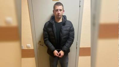 В Петербурге поймали липового сына двух пенсионерок, выманившего у женщин деньги - piter.tv - Ленинградская обл. - Санкт-Петербург