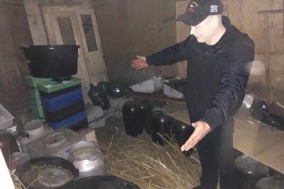 Мужчина вырастил на участках в Тамбовской области 21 кг марихуаны - tambov.mk.ru - Тамбовская обл.