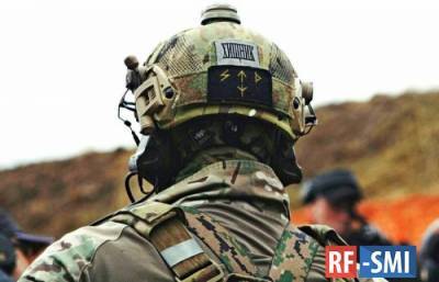 Если украинские войска попрут в атаку, вагнеровцы помогут ополченцам разбить врага наголову - rf-smi.ru - Киев - Луганская обл. - Азербайджан