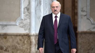 Александр Лукашенко - Власти Белоруссии указали на причину затянувшихся акций протеста - polit.info - Белоруссия