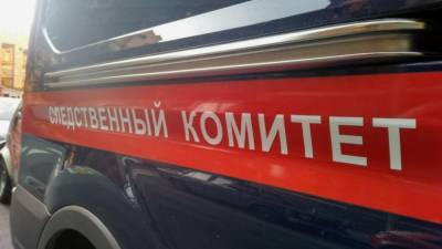 Жанна Шеплякова - Супруг погибшей журналистки "Рязань.Лайф" в день трагедии просил прощения - polit.info - Рязань - Тверская обл.