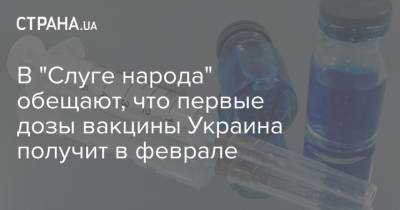 Евгения Кравчук - В "Слуге народа" обещают, что первые дозы вакцины Украина получит в феврале - strana.ua - США - Киев