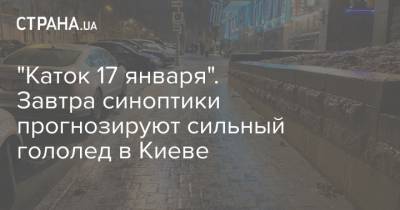 Наталья Диденко - "Каток 17 января". Завтра синоптики прогнозируют сильный гололед в Киеве - strana.ua - Киев