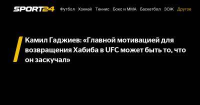 Хабиб Нурмагомедов - Александр Сергеев - Камил Гаджиев - Камил Гаджиев: «Главной мотивацией для возвращения Хабиба в UFC может быть то, что он заскучал» - sport24.ru
