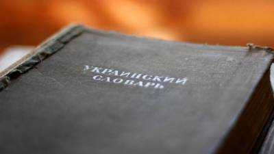 Кирилл Куликов - Юрий Камельчук - Депутат партии Зеленского Камельчук набросился на критика украинского языка - nation-news.ru - Киев