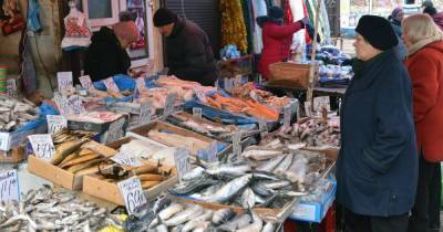Рыбный день: как выбрать, вкусно приготовить — и сколько стоит рыба в разных регионах Украины - tsn.ua
